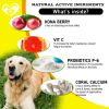 Dog Anti Itch Allergy Relief Chews Dry Itchy Skin Hot Spot Treatment with Probiotic Omega 3 Oil Immune Supplement Seasonal Allergies Medicine for Dogs